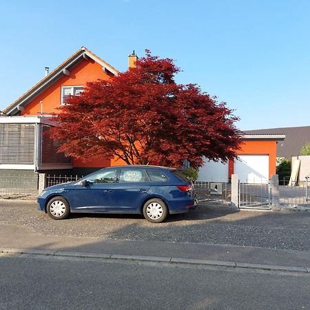 Sonnige Ferienwohnung Bei Familie Koehler كابل غرافنهاوسن المظهر الخارجي الصورة